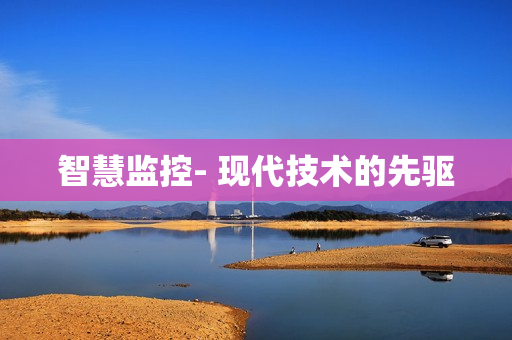 智慧監(jiān)控- 現(xiàn)代技術(shù)的先驅(qū)