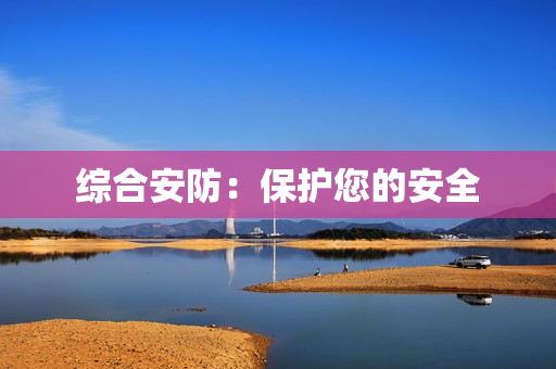 綜合安防：保護您的安全