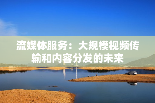 流媒體服務：大規模視頻傳輸和內容分發的未來