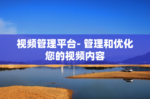 視頻管理平臺- 管理和優化您的視頻內容