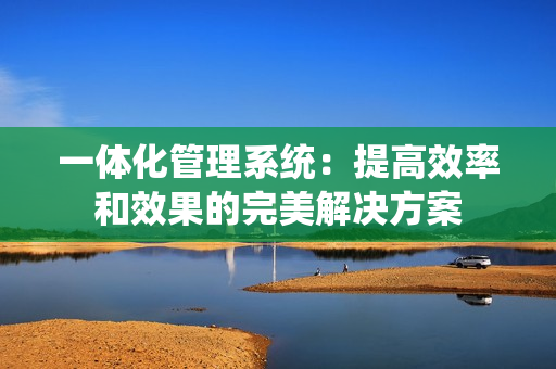 一體化管理系統：提高效率和效果的完美解決方案
