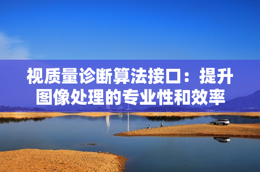 視質(zhì)量診斷算法接口：提升圖像處理的專業(yè)性和效率