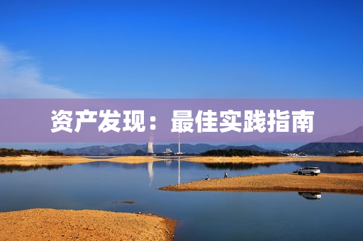 資產(chǎn)發(fā)現(xiàn)：最佳實踐指南