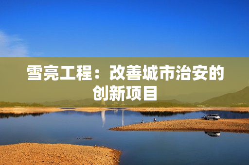 雪亮工程：改善城市治安的創新項目