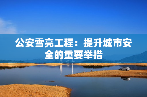 公安雪亮工程：提升城市安全的重要舉措