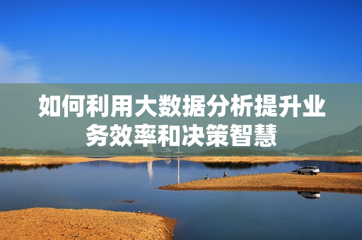 如何利用大數(shù)據(jù)分析提升業(yè)務(wù)效率和決策智慧