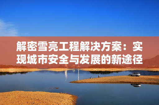 解密雪亮工程解決方案：實現城市安全與發展的新途徑