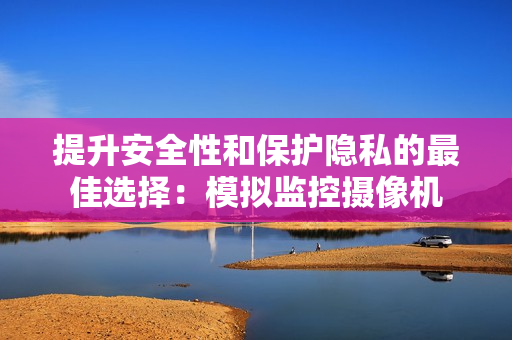 提升安全性和保護(hù)隱私的最佳選擇：模擬監(jiān)控?cái)z像機(jī)