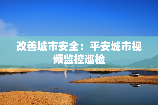 改善城市安全：平安城市視頻監控巡檢