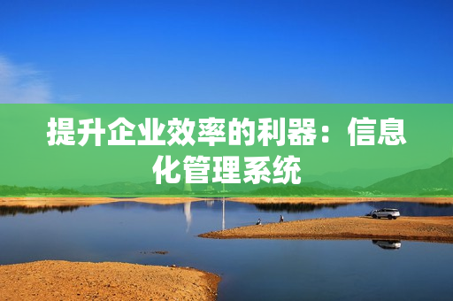 提升企業(yè)效率的利器：信息化管理系統(tǒng)