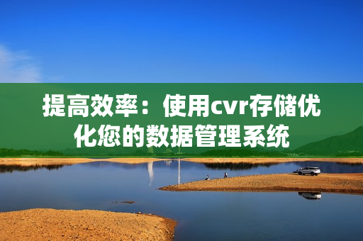 提高效率：使用cvr存儲優化您的數據管理系統