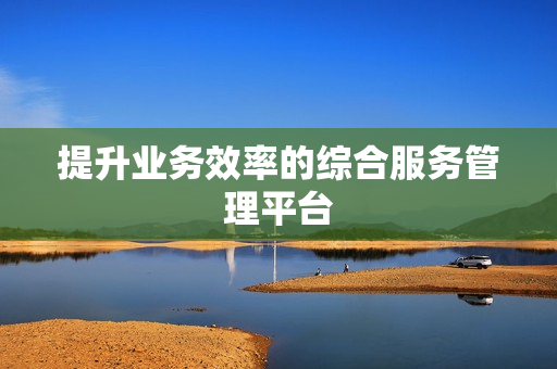 提升業(yè)務(wù)效率的綜合服務(wù)管理平臺(tái)