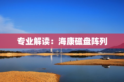專業(yè)解讀：海康磁盤陣列
