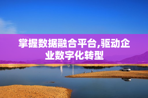 掌握數(shù)據(jù)融合平臺(tái),驅(qū)動(dòng)企業(yè)數(shù)字化轉(zhuǎn)型