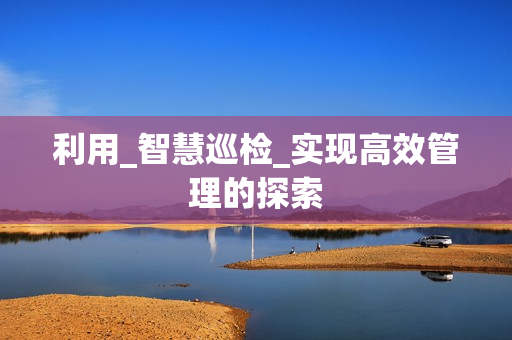 利用_智慧巡檢_實現高效管理的探索