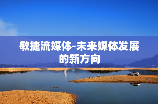 敏捷流媒體-未來媒體發展的新方向