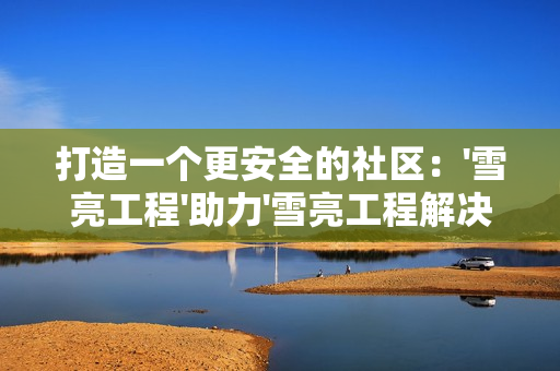 打造一個更安全的社區(qū)：'雪亮工程'助力'雪亮工程解決方案'