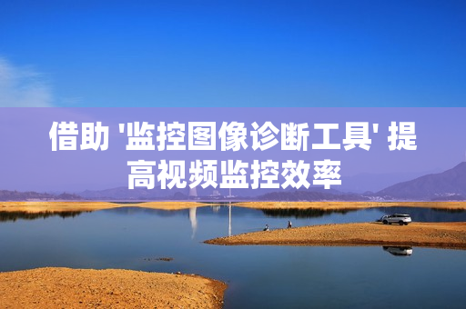 借助 '監控圖像診斷工具' 提高視頻監控效率