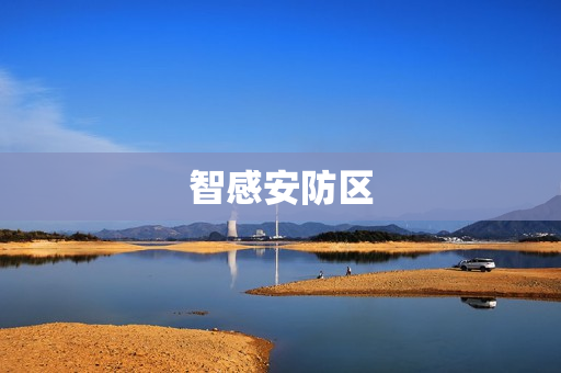 智感安防區