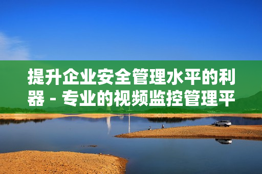 提升企業安全管理水平的利器 - 專業的視頻監控管理平臺
