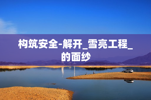構(gòu)筑安全-解開_雪亮工程_的面紗