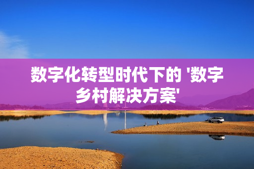 數(shù)字化轉(zhuǎn)型時(shí)代下的 '數(shù)字鄉(xiāng)村解決方案'