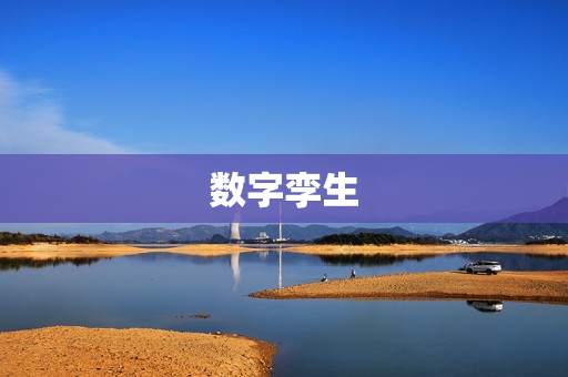 數(shù)字孿生