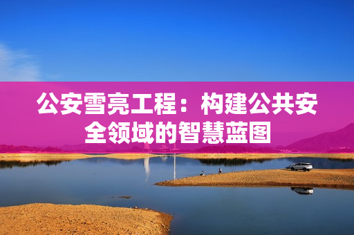 公安雪亮工程：構建公共安全領域的智慧藍圖