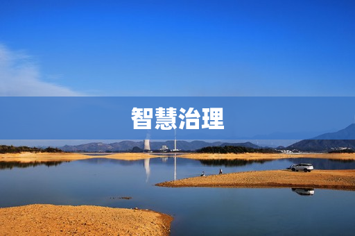 智慧治理