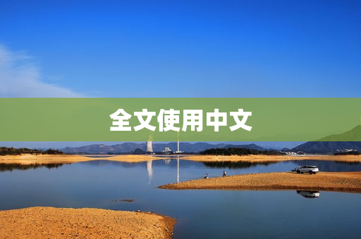 全文使用中文
