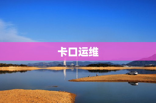 卡口運維