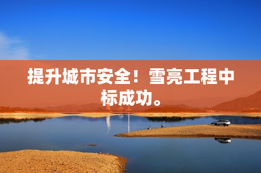 提升城市安全！雪亮工程中標成功。