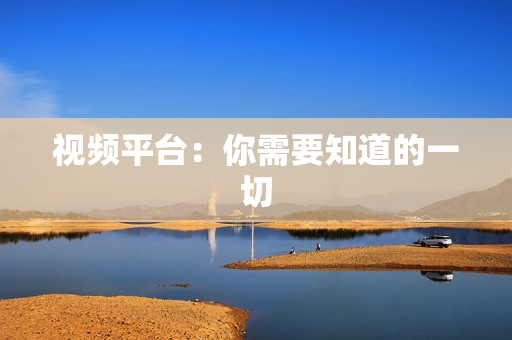 視頻平臺：你需要知道的一切
