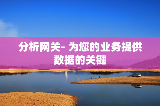 分析網關- 為您的業務提供數據的關鍵