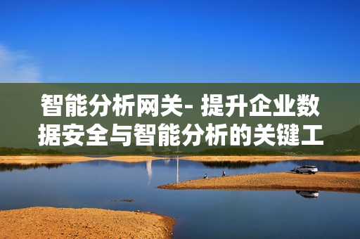 智能分析網(wǎng)關(guān)- 提升企業(yè)數(shù)據(jù)安全與智能分析的關(guān)鍵工具