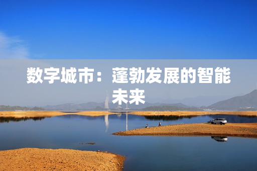 數(shù)字城市：蓬勃發(fā)展的智能未來(lái)