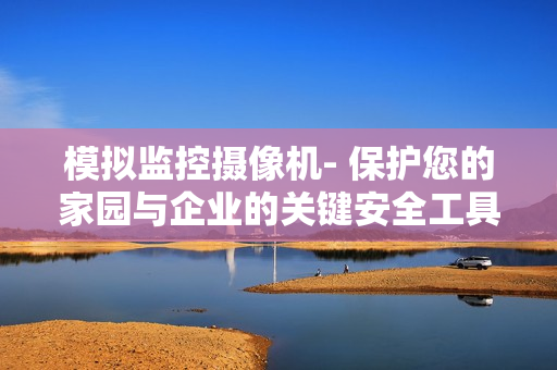 模擬監控攝像機- 保護您的家園與企業的關鍵安全工具